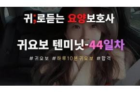 44일차)귀요보텐미닛~하루10분귀요보 /요양보호사요점정리/요양보호사기출문제/요양보호사시험/요양보호사합격